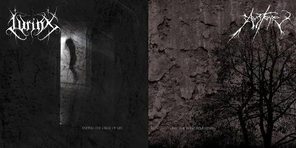 Only the Wind Remembers / Ending the Circle of Life cover