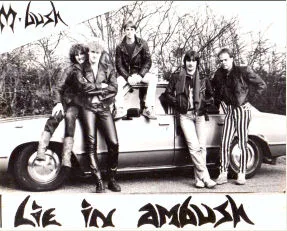 Lie in Ambush cover