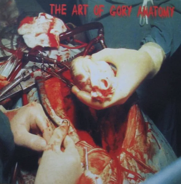 The Art of Gory Anatomy cover