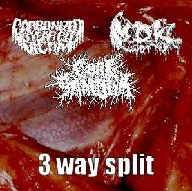M.D.K / Carbonized 16 Year Old Victim / Gore Sanctum cover