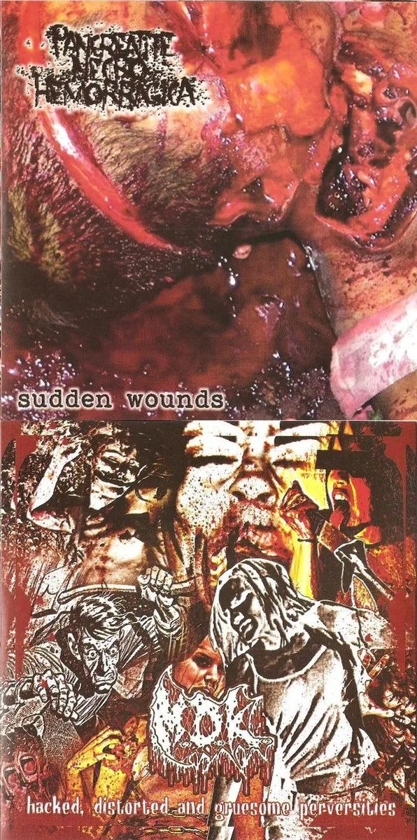 Sudden Wounds / Hacked, Distorted and Gruesome Perversities cover