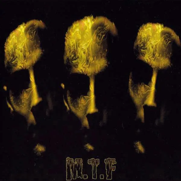 New Life cover
