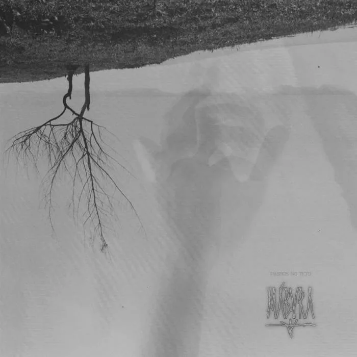 Passos no Teto cover