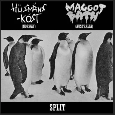 Maggot Bath / Husmanskost cover