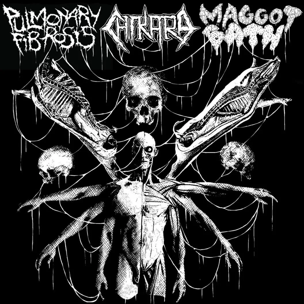 Pulmonary Fibrosis / Chikara / Maggot Bath cover