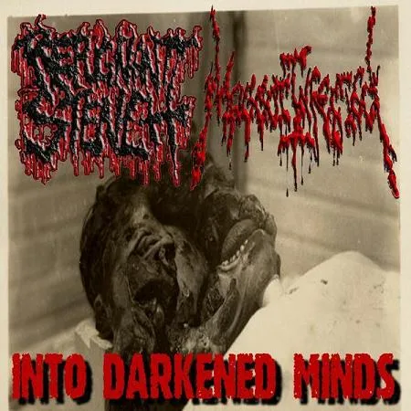 Into Darkened Minds cover