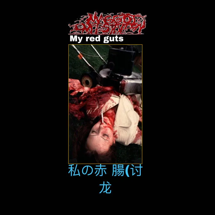 My Red Guts cover