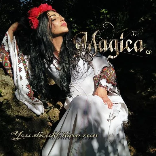 You Should Have Run cover