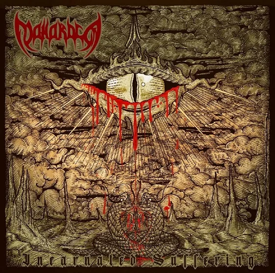 Incarnated Suffering cover
