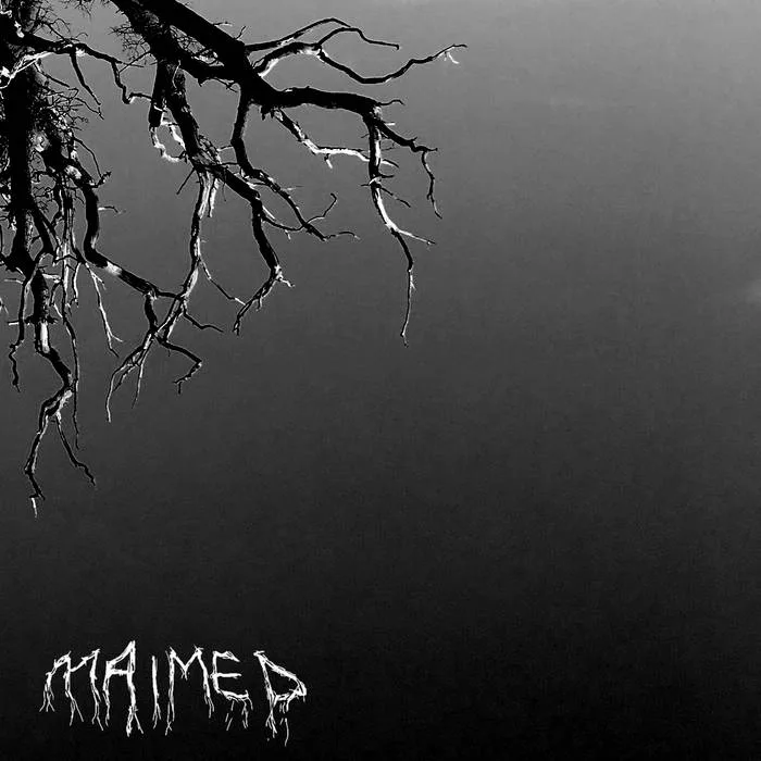 Witches cover