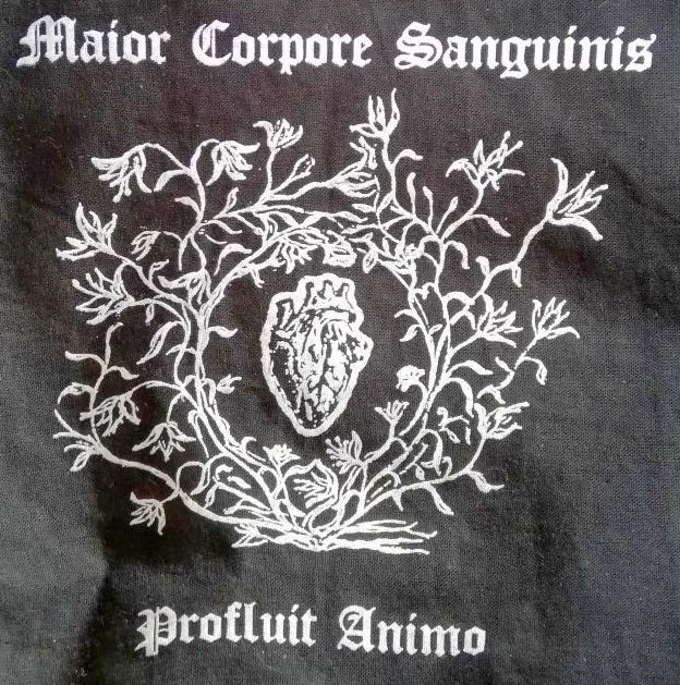 Profluit Animo cover