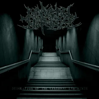 Desolation of the Cerebral Labyrinth cover