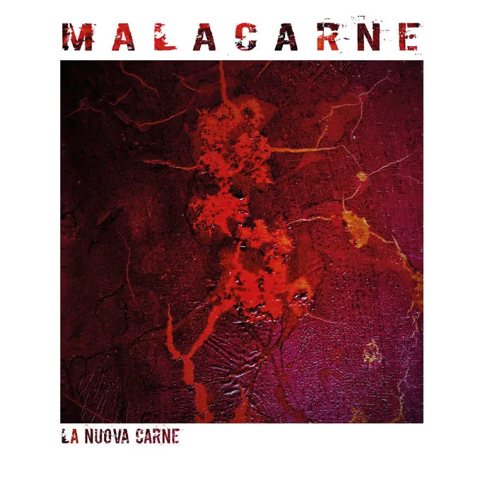 La nuova carne cover