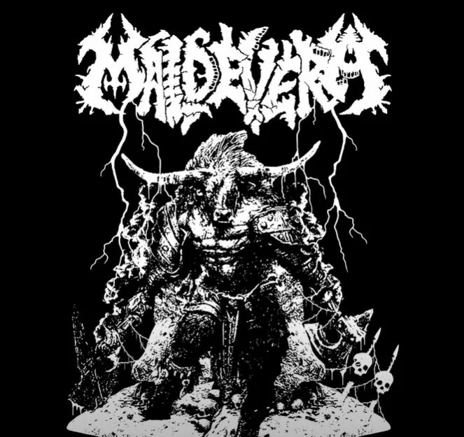 Voyager Destroyer cover