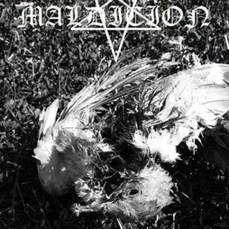 Stench of Death cover
