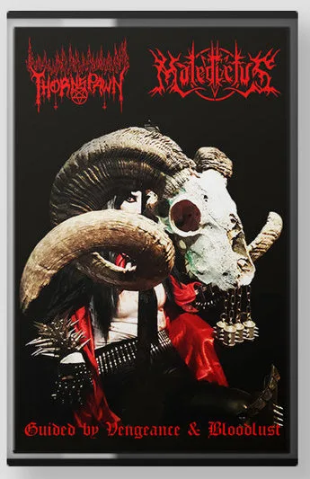 Guided by Vengeance & Bloodlust cover