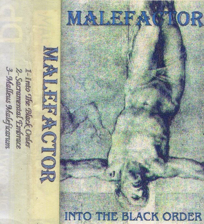 Into the Black Order cover