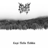 Lupi nella nebbia cover