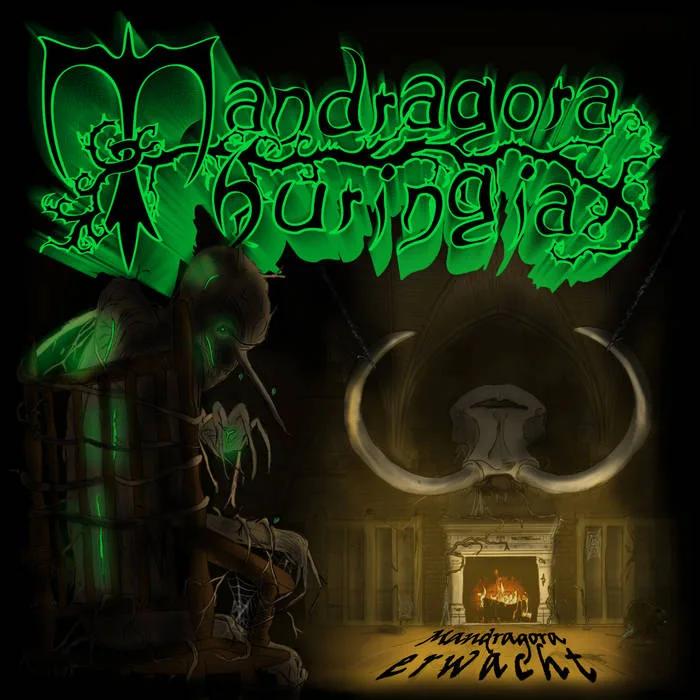 Mandragora erwacht cover