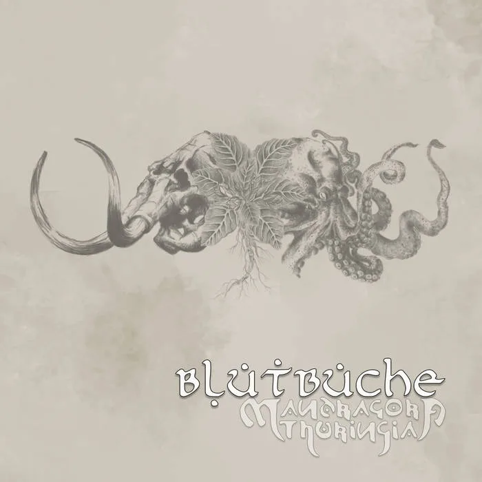 Blutbuche cover