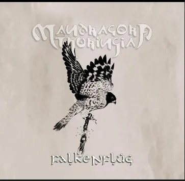 Falkenflug cover