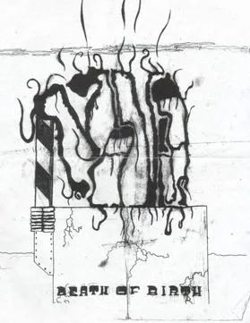 The Death of Birth cover