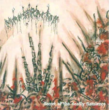 Secret of the Deadly Flatulence cover