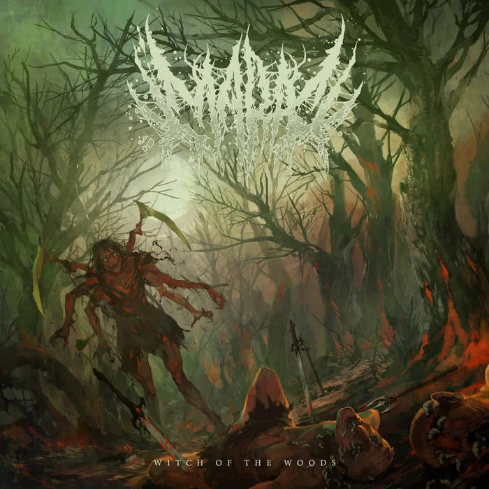 Witch of the Woods cover