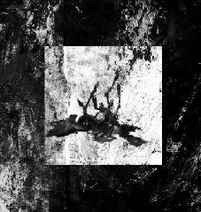 De llums i ombres cover