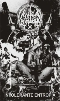 Intolerante Entropia cover