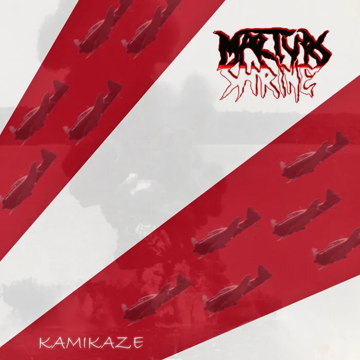 Kamikaze cover