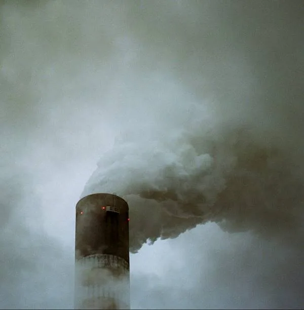 Mauvaise I Foi cover