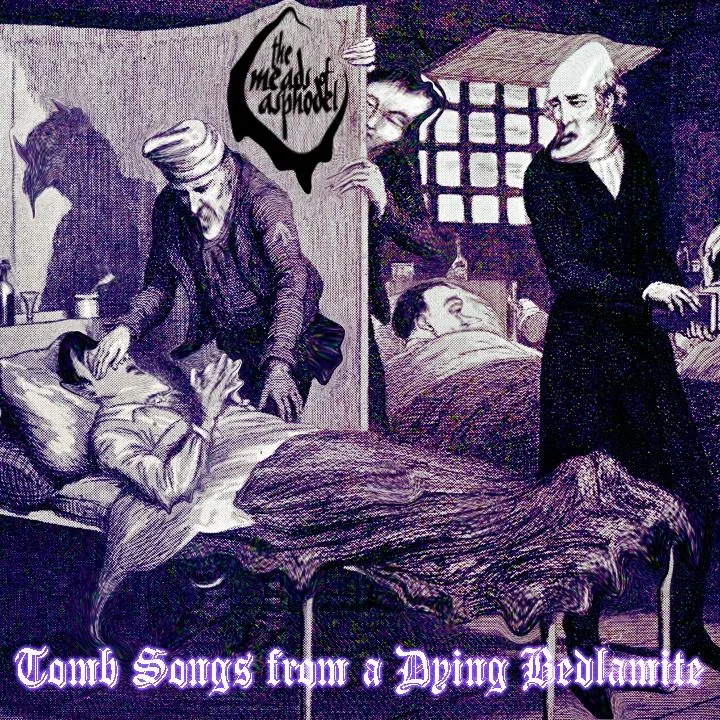 Tomb Songs from a Dying Bedlamite cover