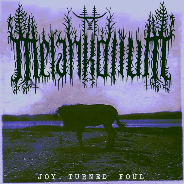 Joy Turned Foul cover