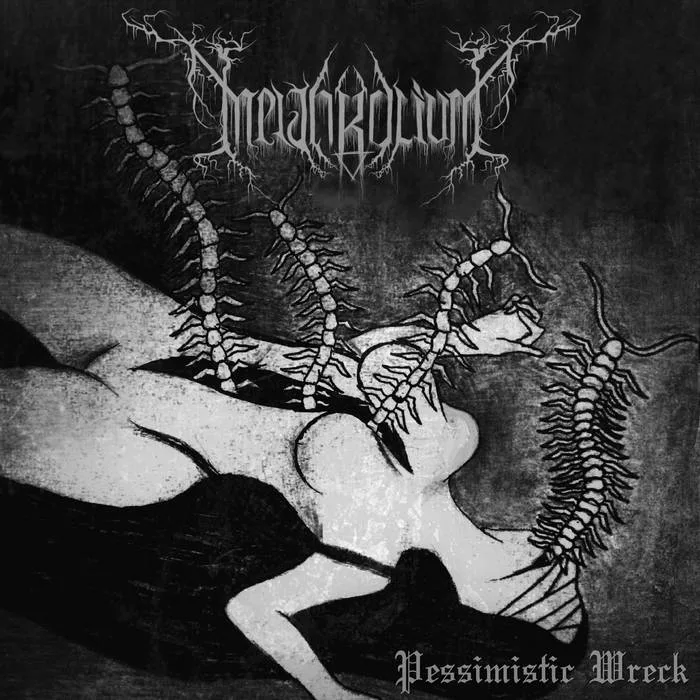 Pessimistic Wreck cover