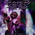 Distorted Perceptionz cover