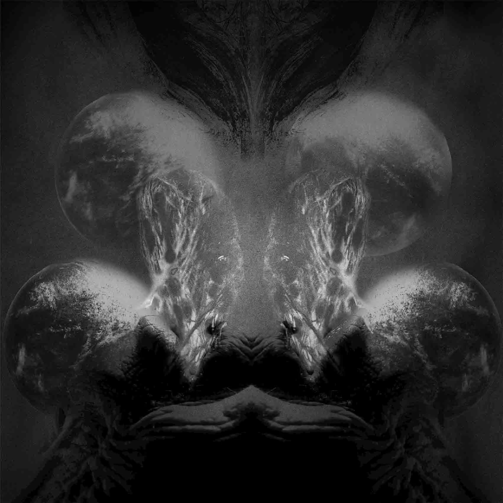 Dimensions Collide cover