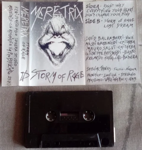 Storm of Rage cover