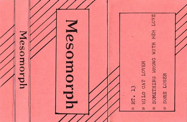 Mesomorph cover