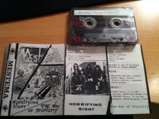 Horrifying Sight / The Way of Stupidity Split Demo cover