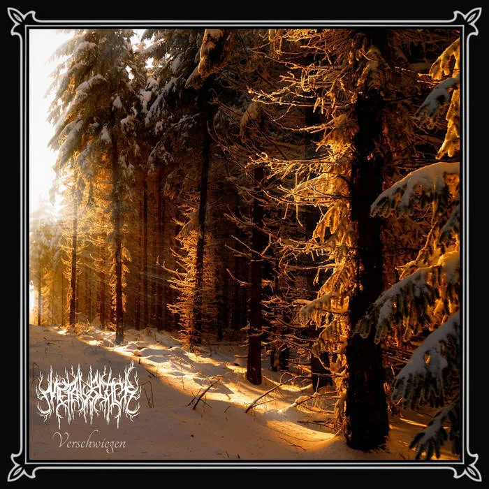 Verschwiegen cover