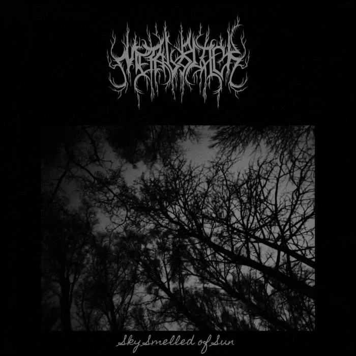 Sky Smelled of Sun cover