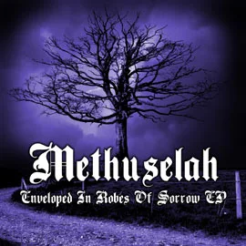 Enveloped in Robes of Sorrow cover