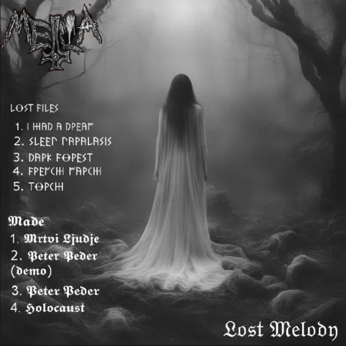 Lost Melody cover