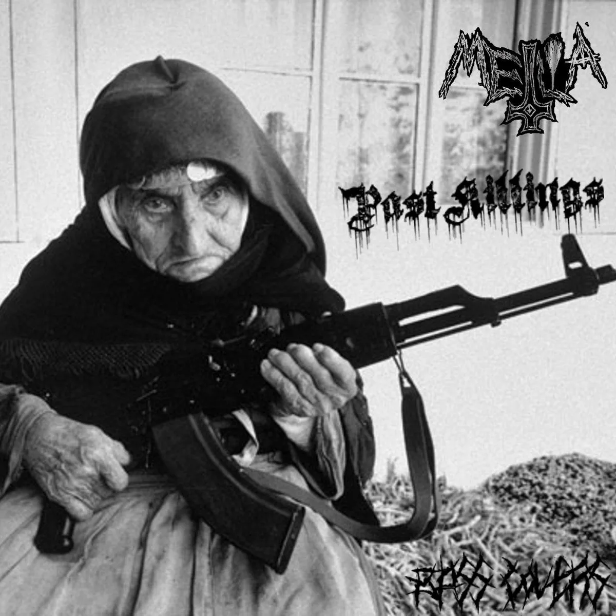 Past Killings cover