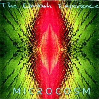 The Umbah Experience cover