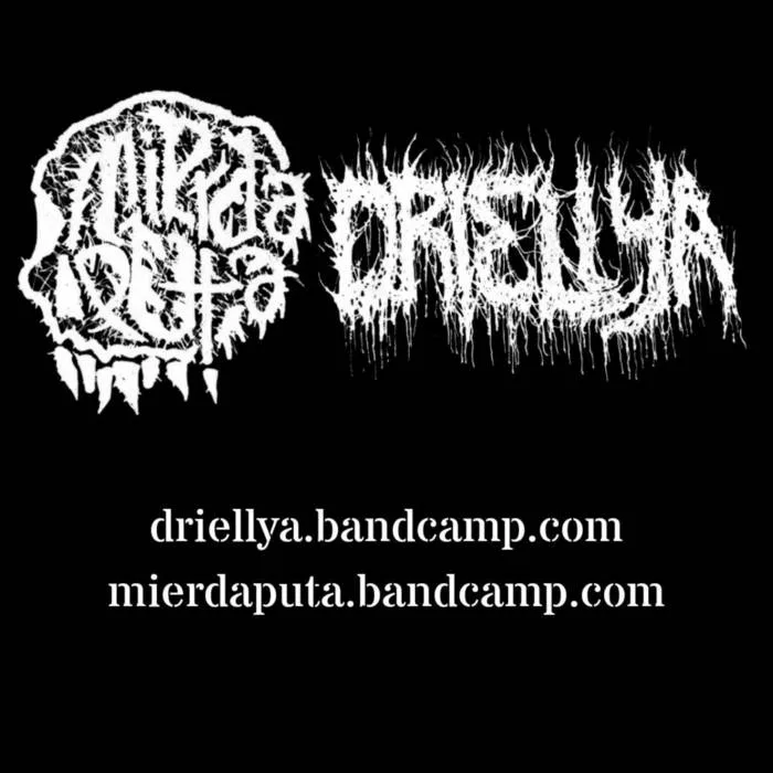 Driellya & Mierdaputa cover