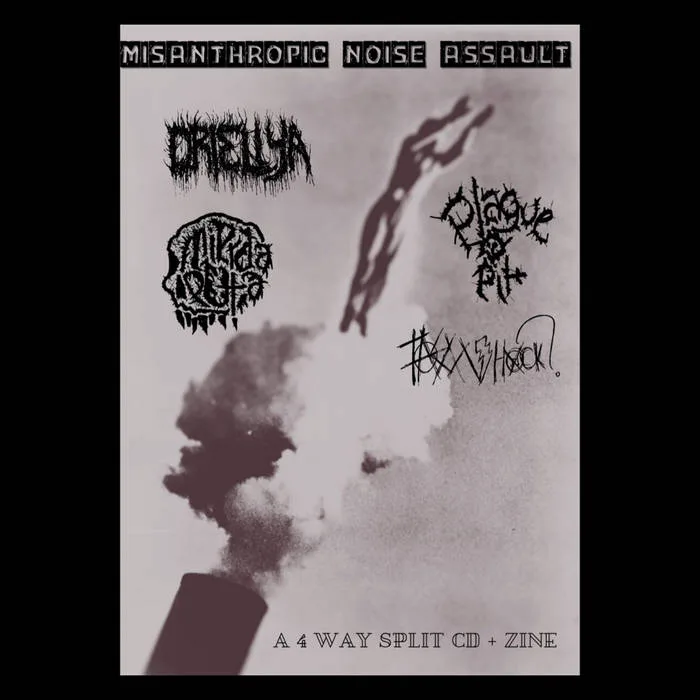Misanthropic Noise Assault cover