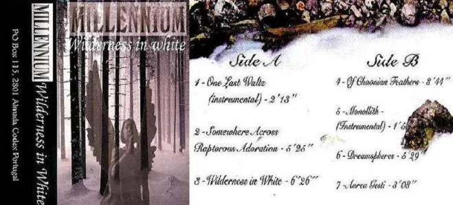 Wilderness in White cover