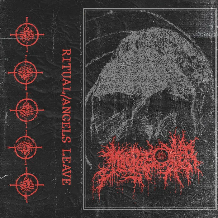 Ritual / Angels Leave cover